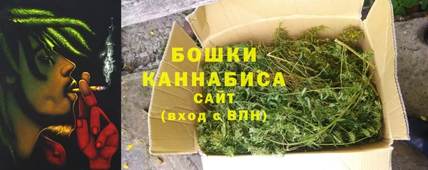 крисы Баксан